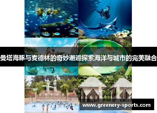 曼塔海豚与麦德林的奇妙邂逅探索海洋与城市的完美融合